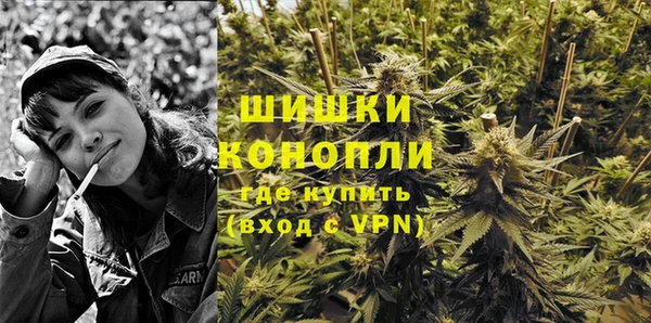 стаф Балахна