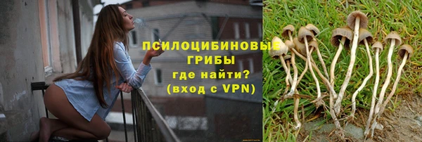 стаф Балахна