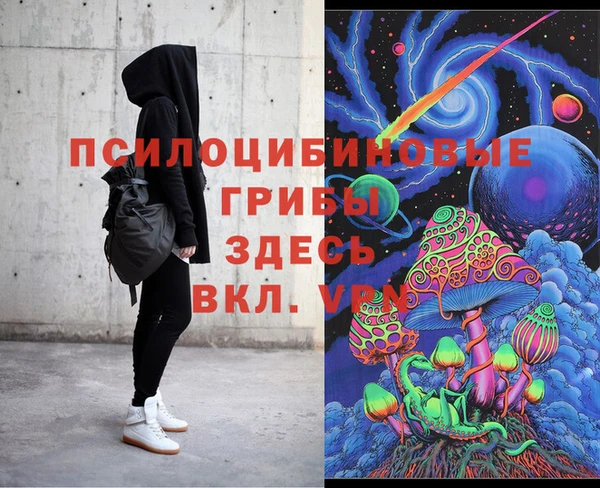 стаф Балахна